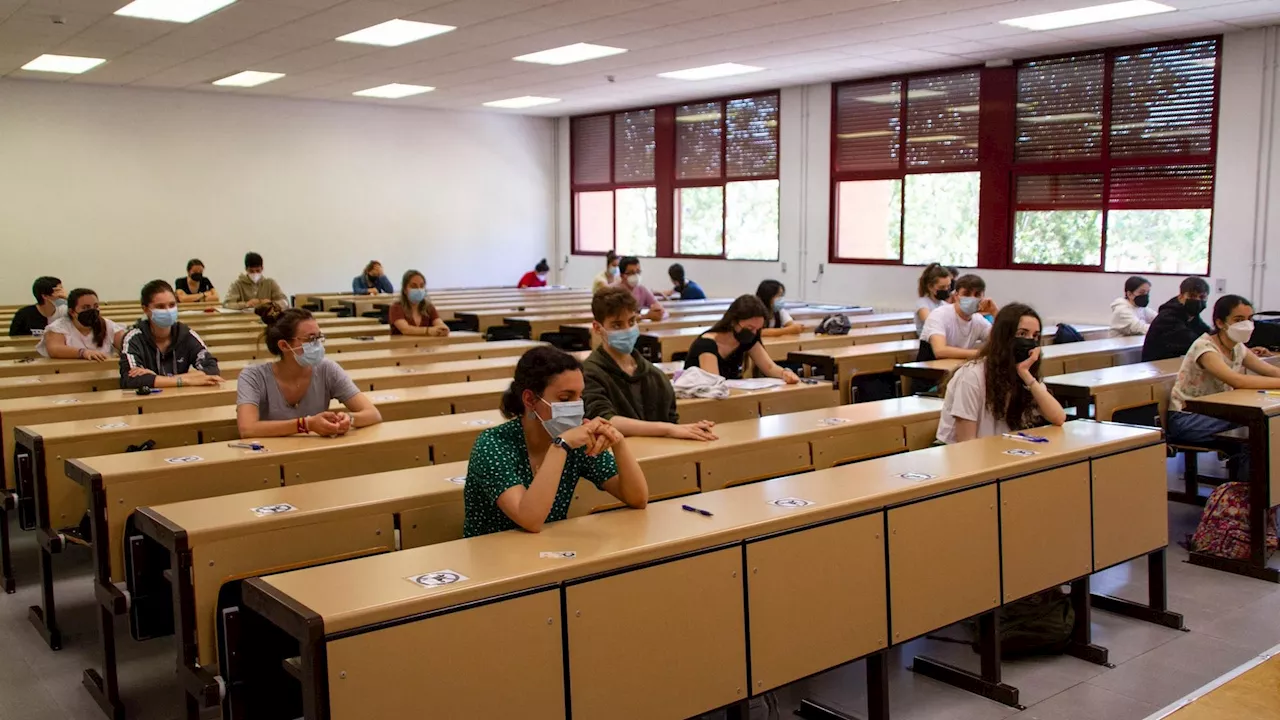 EvAU 2024: ¿Cuánto cuesta estudiar en las universidades españolas?