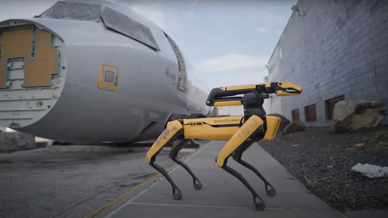 AI-powered autonomous robot dogs to protect Dutch police in drug lab raids