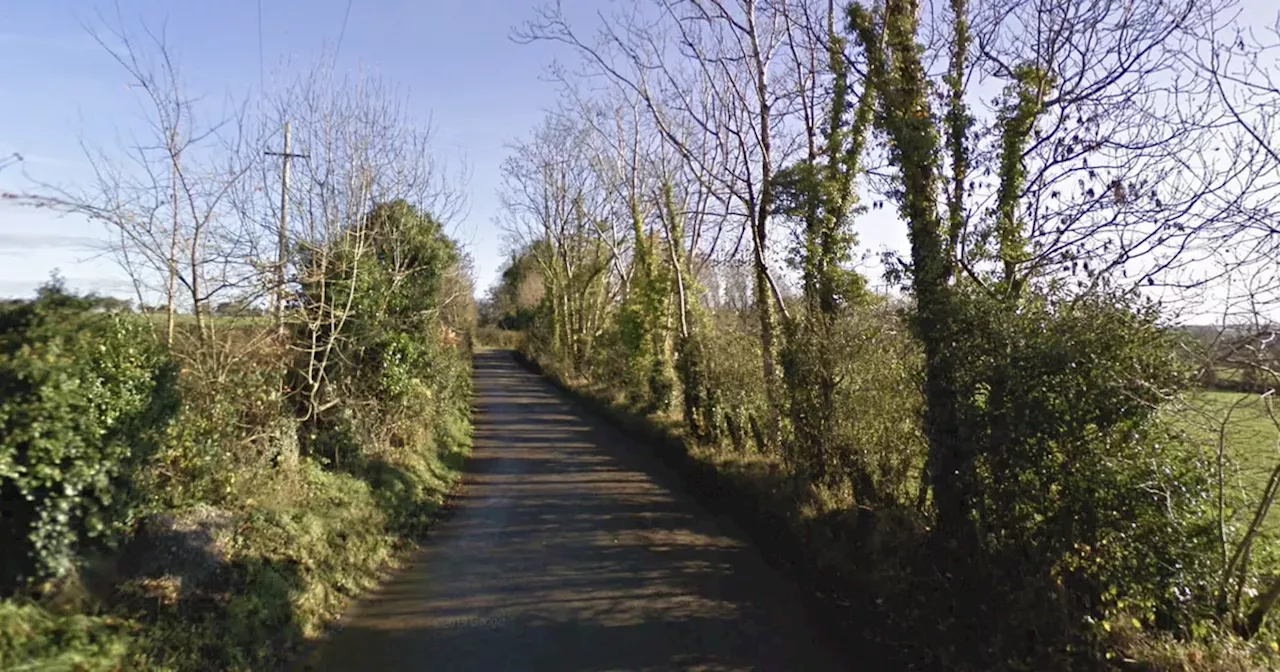 Gardai appeal for witnesses after woman assaulted while walking in forest