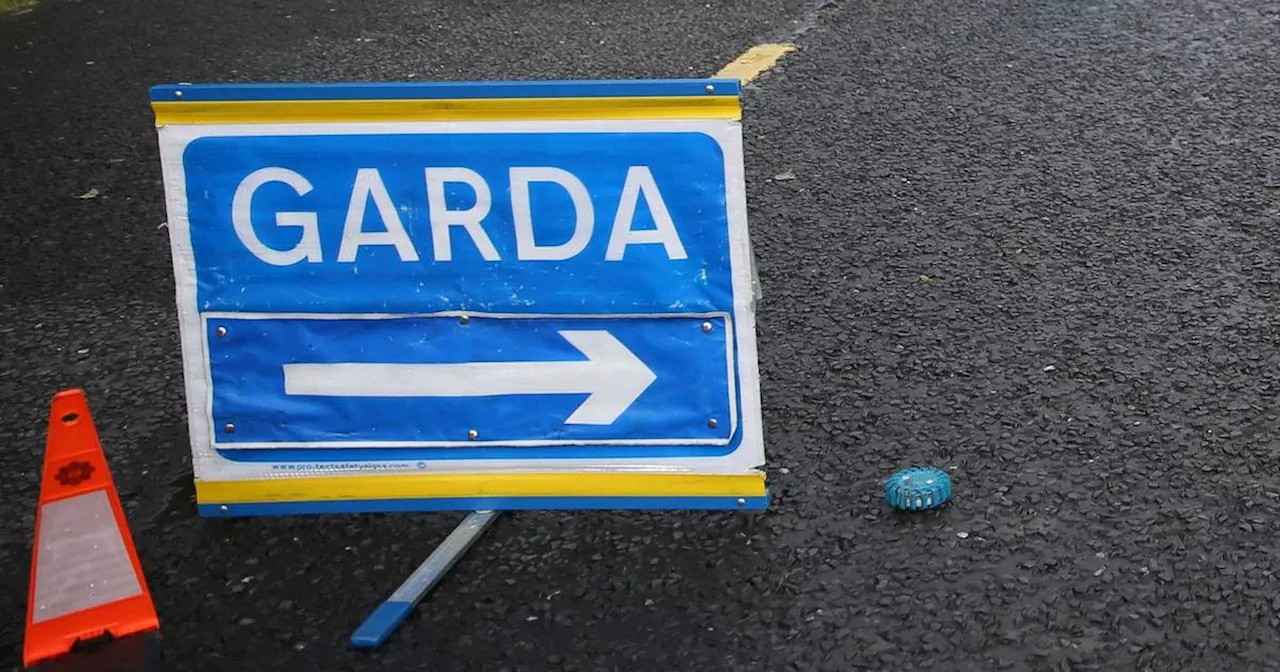 Driver of minibus killed following crash in Tramore