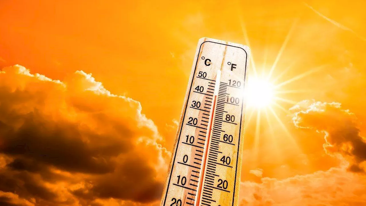 Heat Wave: इस बार इतनी गर्म रही 'मई' कि वैज्ञानिक भी सोच में पड़े, इस कारण से लगातार असहनीय होती जा रही गर्मी