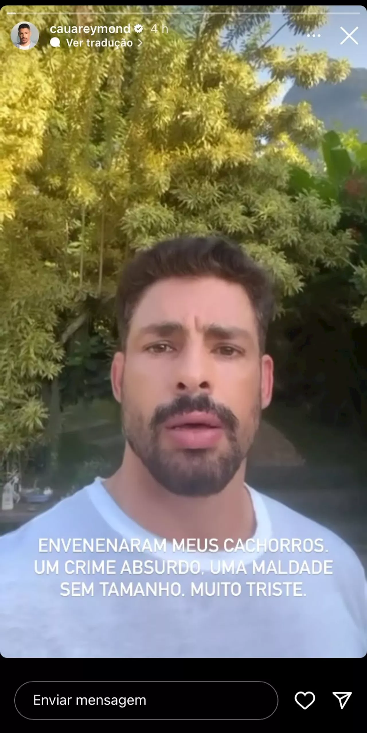 Cauã Reymond diz que seus cães foram vítimas de envenenamento: 'Uma maldade'