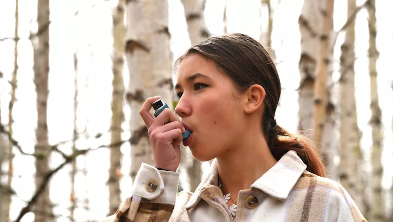 Ventoline : le médicament pour les asthmatiques indisponible dans plusieurs pharmacies, les malades s’inquiète