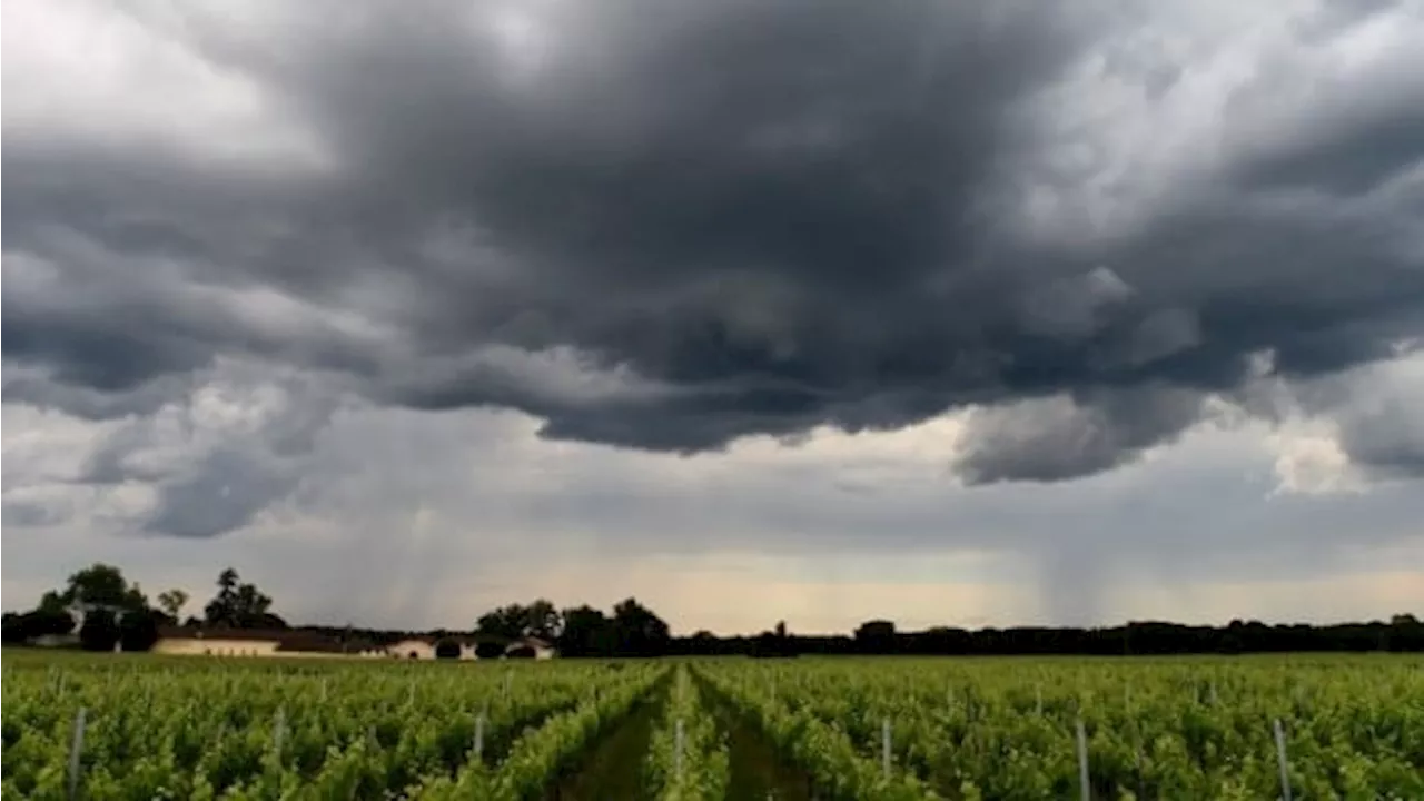 Météo en Provence : des orages attendus ce dimanche dans le Vaucluse et les Bouches-du-Rhône