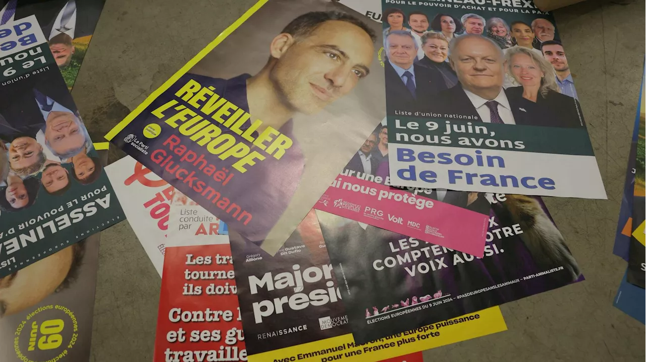 Européennes 2024 : les programmes des principaux candidats (et ce qu’ils disent vraiment entre les lignes)