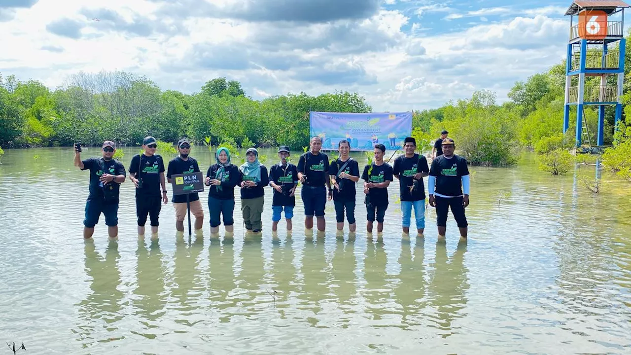 PLN Icon Plus Gelar Aksi Bersih Pantai dan Tanam Mangrove di Takalar