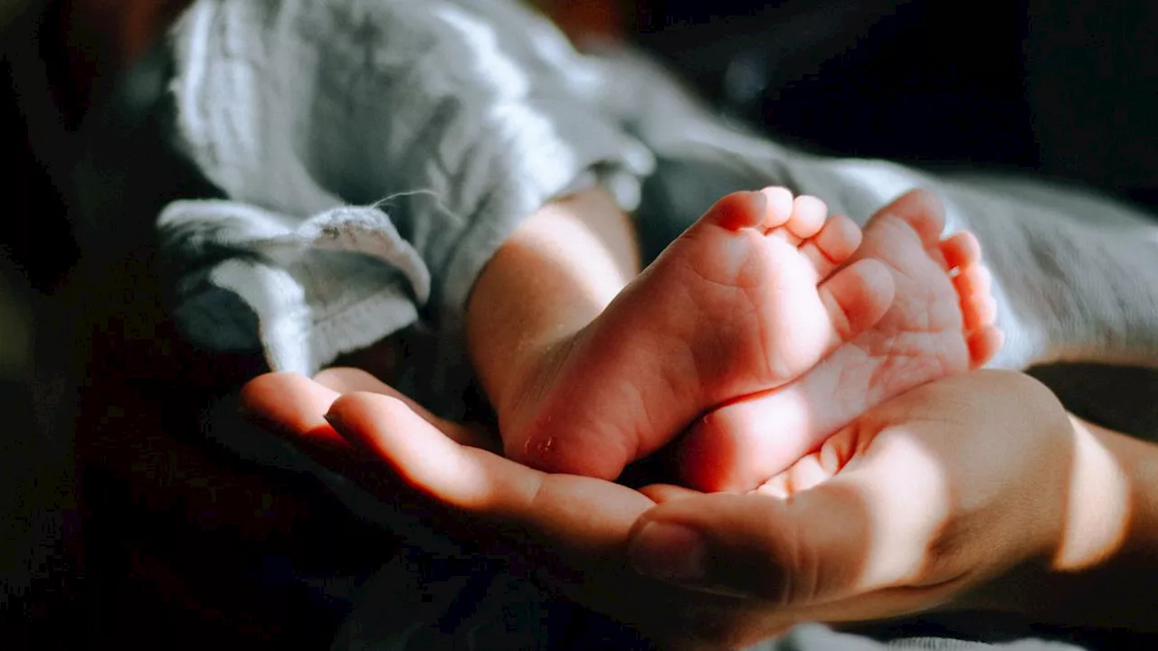 Warga Digegerkan Penemuan Bayi Hidup di Dekat Makam Keramat