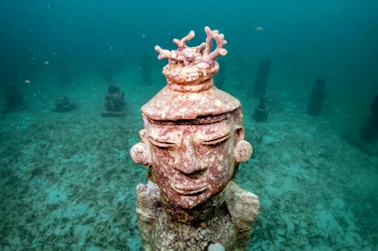 Colombian underwater ‘art gallery’ serves as coral home