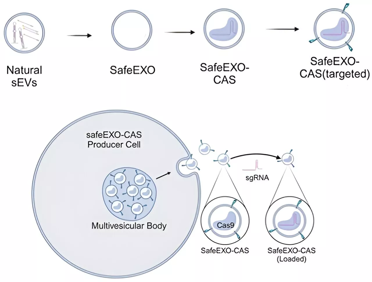 Scientists develop new CRISPR gene editing platform for precision medicine and cancer treatment