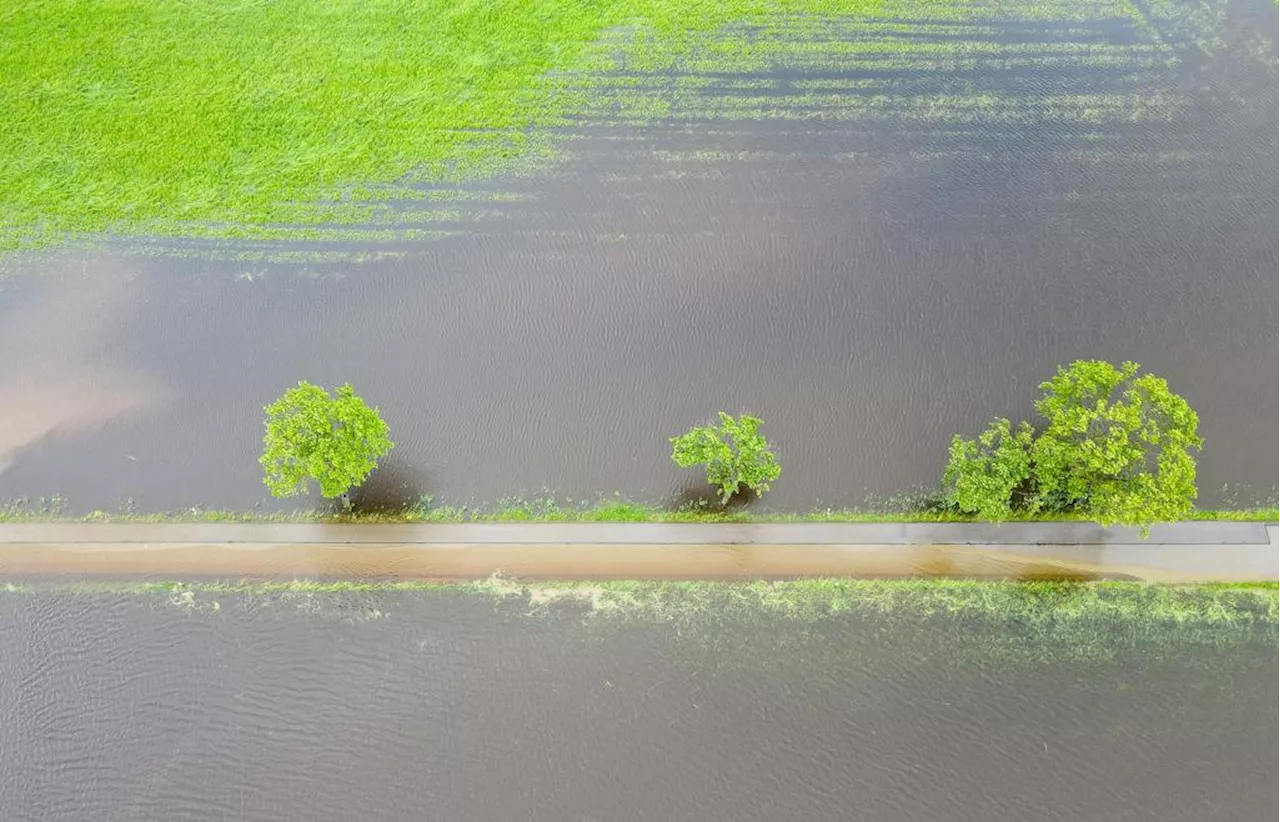 Getreide, Rüben, Kartoffeln und Mais: Hochwasser vernichtet die Ernte vieler Höfe