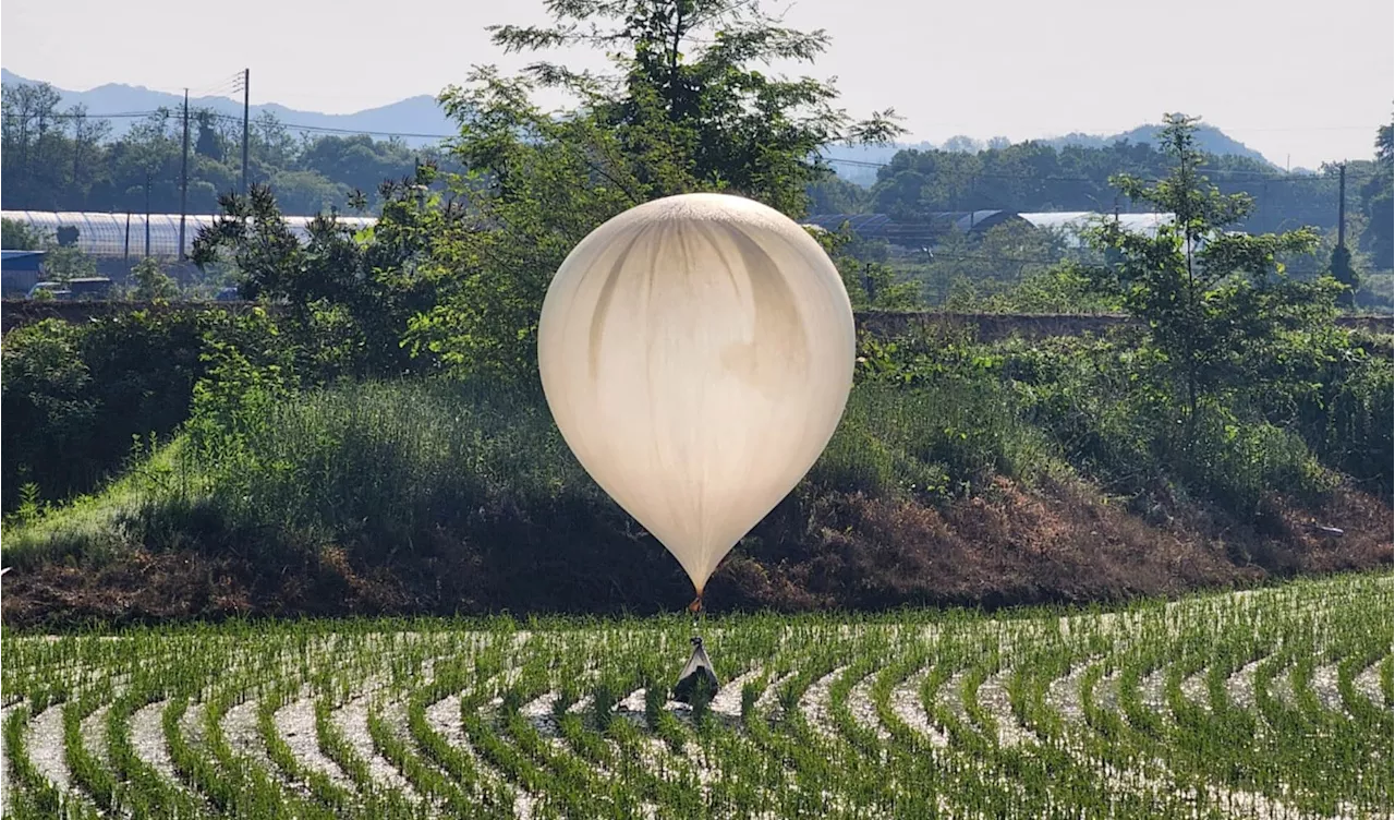 Cash for trash: How activists are responding to Pyongyang's rubbish-filled balloons into South Korea