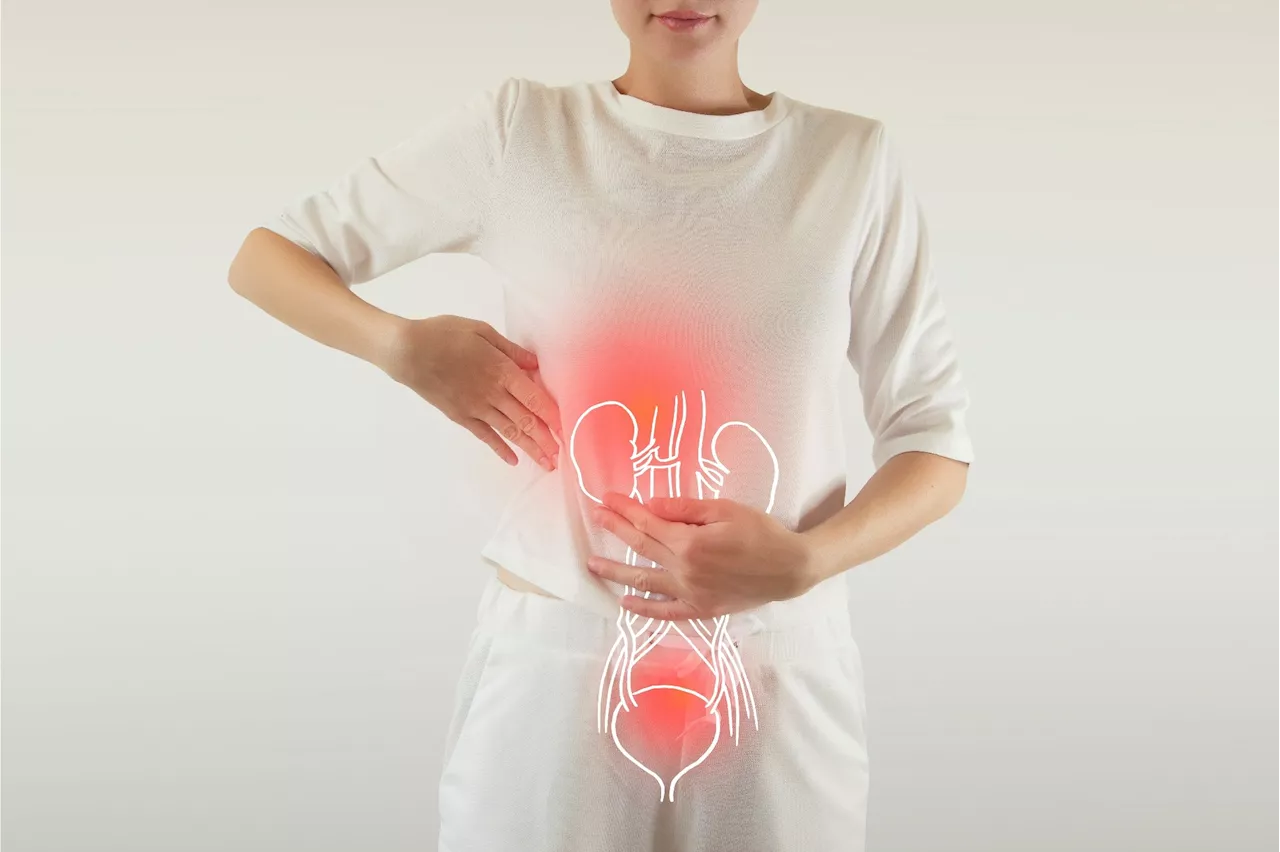 Gut microbiota imbalance linked to higher UTI risks in women