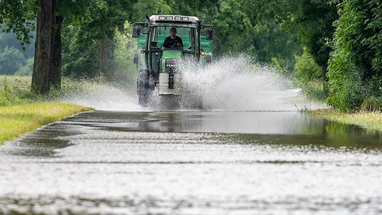 Getreide, Kartoffeln, Obst: Landwirte in Gefahr: Hochwasser bedroht Ernte und Existenzen