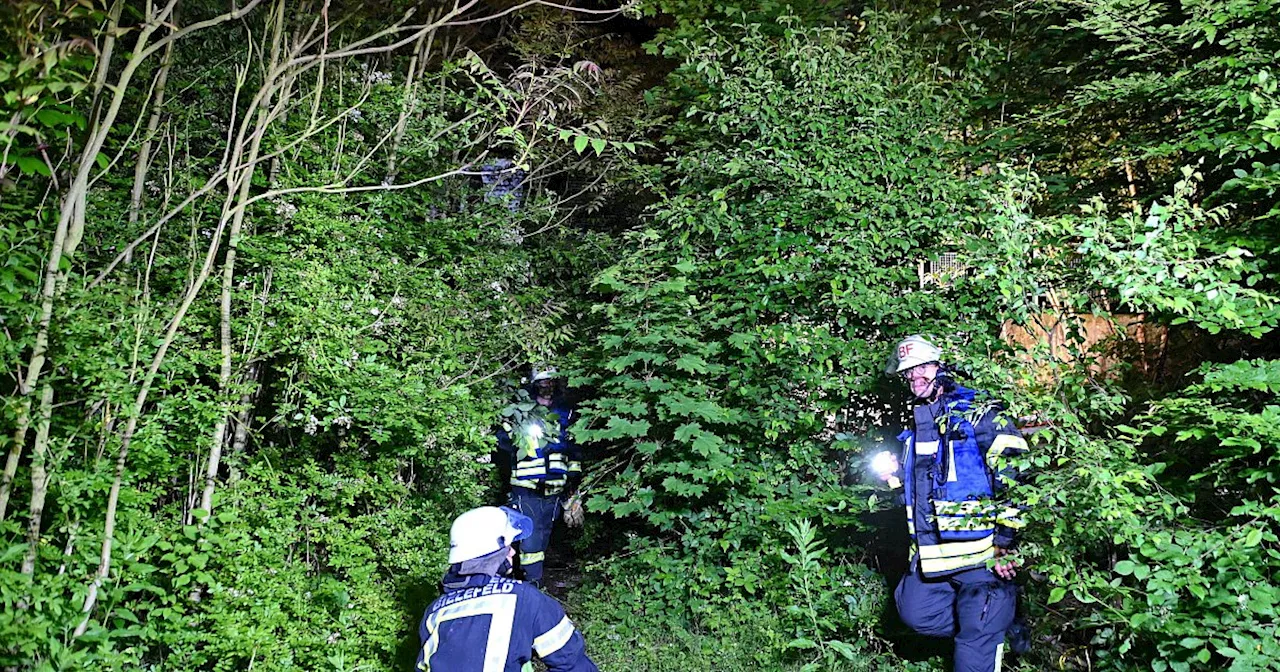 Unauffindbar: Bielefelder Feuerwehr löscht Brand in zugewucherter Bethel-Ruine