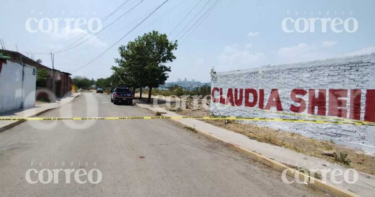 Hallan dos muertos en Irapuato... sí, otra vez en San José de Jorge López