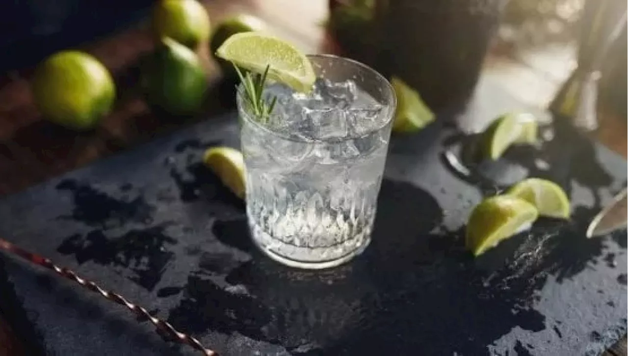 World Gin Day, il boom globale trainato dai prodotti artigianali: gli 11 da non perdere