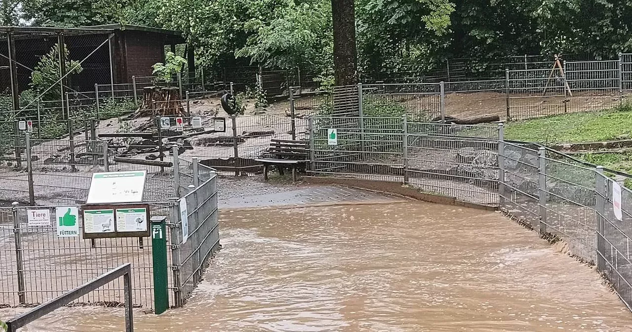 Tierpark Fauna in Solingen schlägt Hochwasser-Alarm​