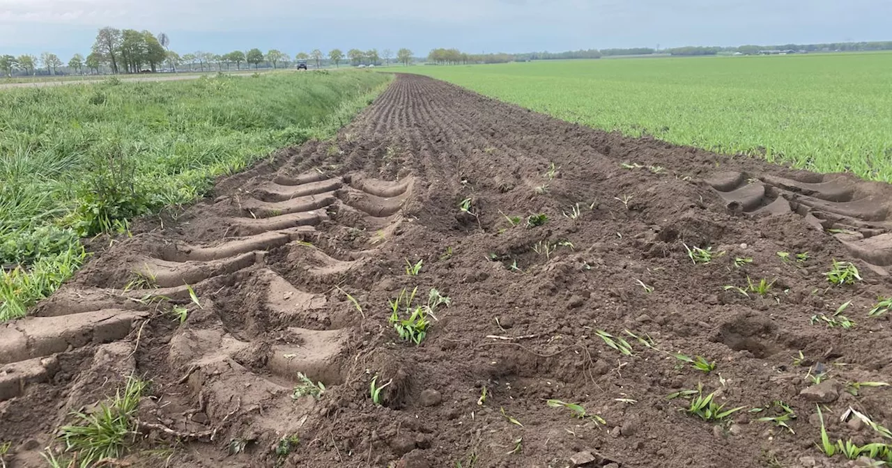 Boeren kunnen moeilijk zaaien en poten door natte akkers