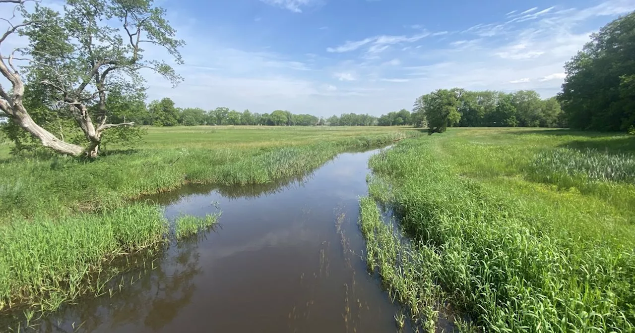 Drenthe krijgt 270 miljoen voor aanpak landelijk gebied, meest van alle provincies