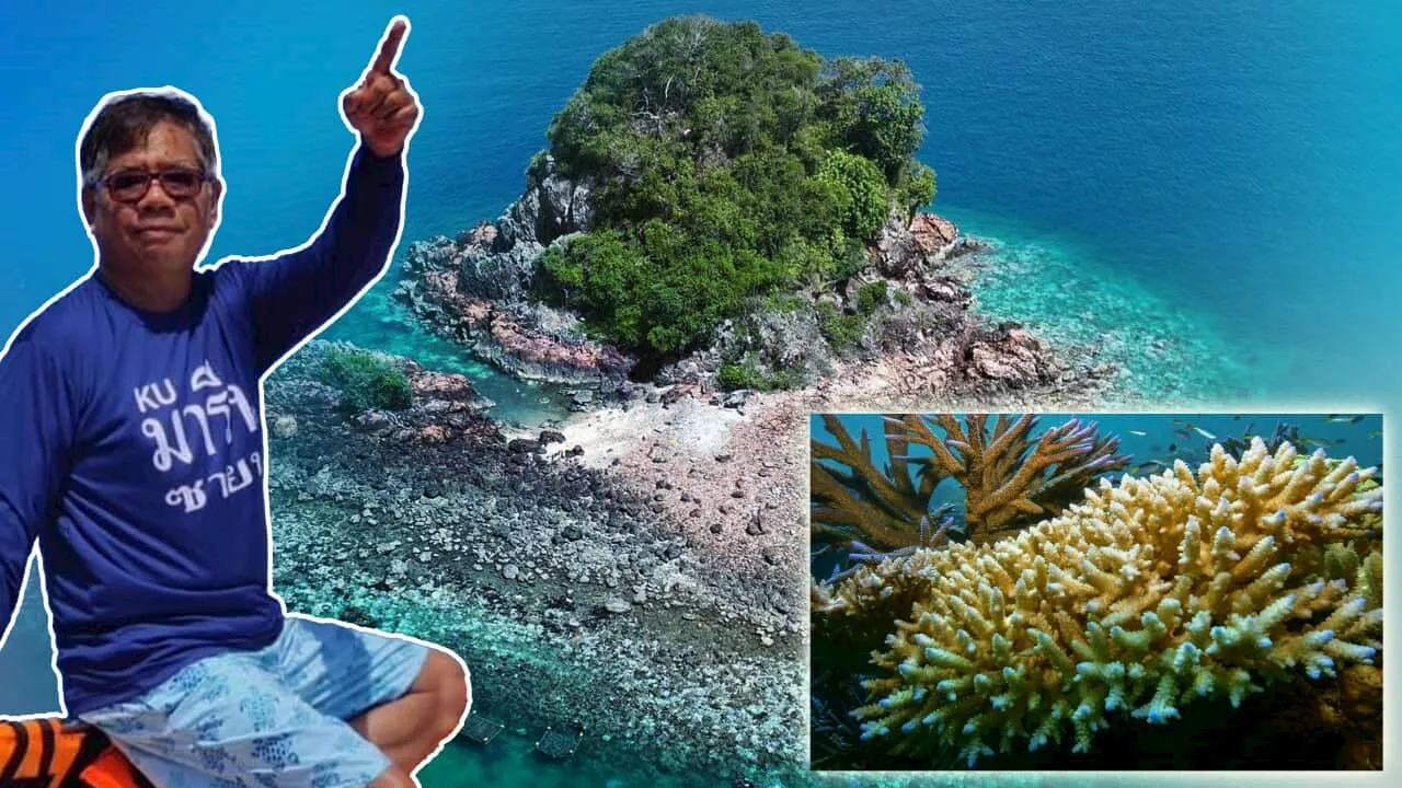 As Australia combats mass coral bleaching, this country issues a warning