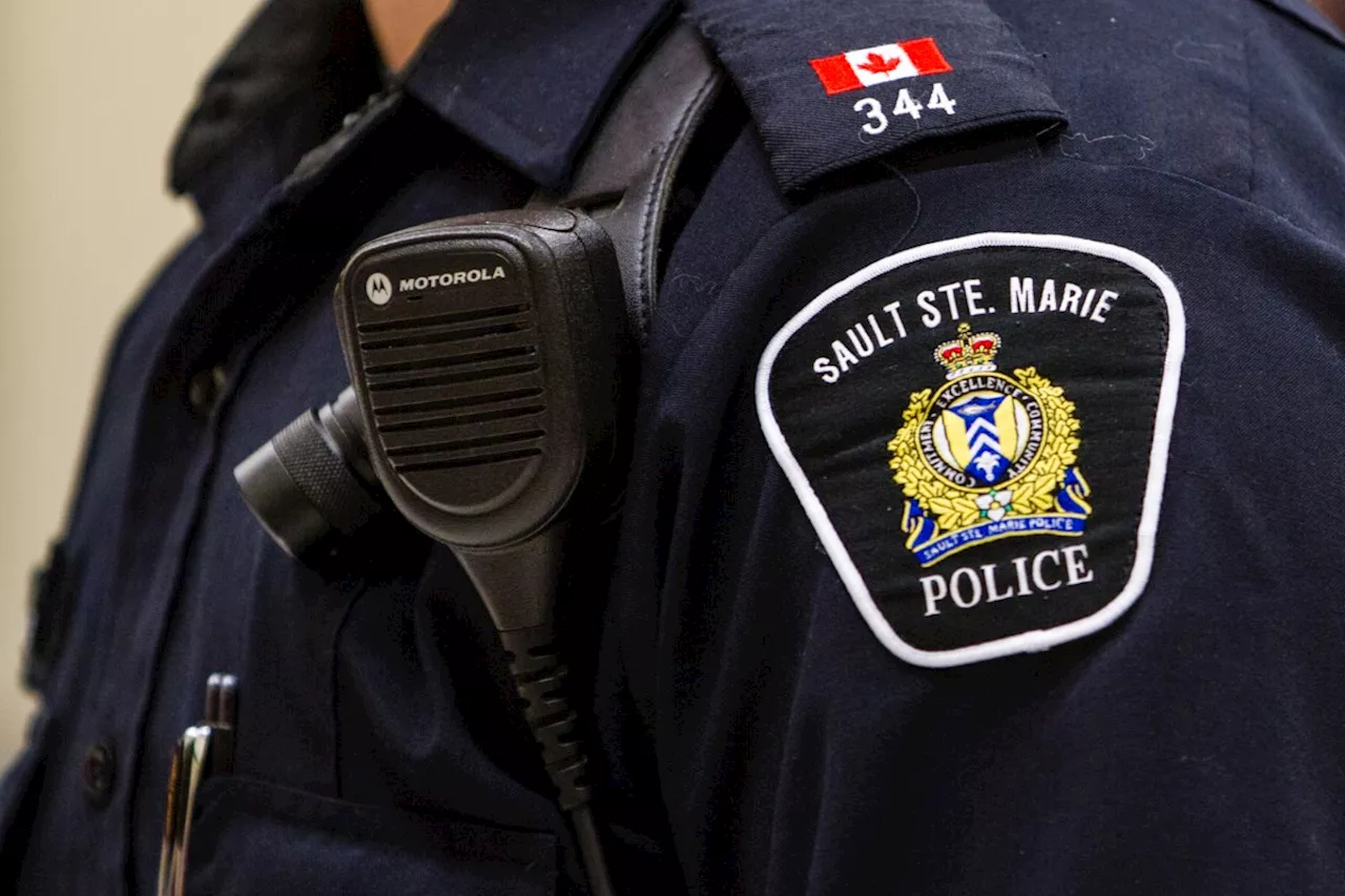 Impaired driving not worth the risk: Sault Police