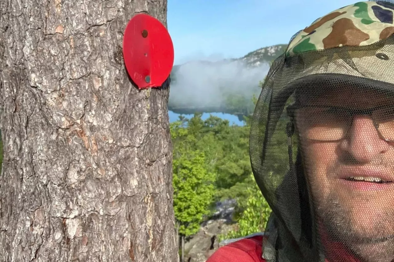 Bold: Senior hiker takes last crack at tough Silhouette trail