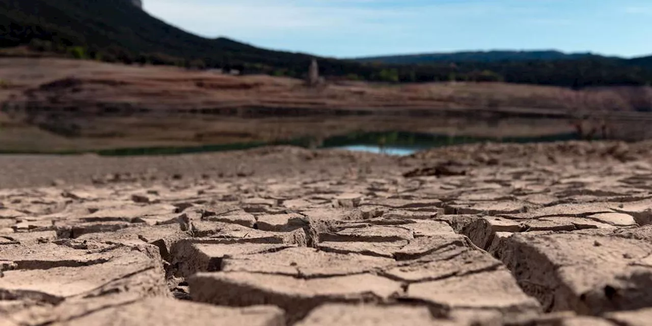 Haute-Corse : plus de la moitié des communes en alerte sécheresse