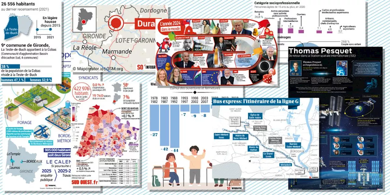 La chronique du médiateur : l’infographie, ce langage simple qui parle à tous