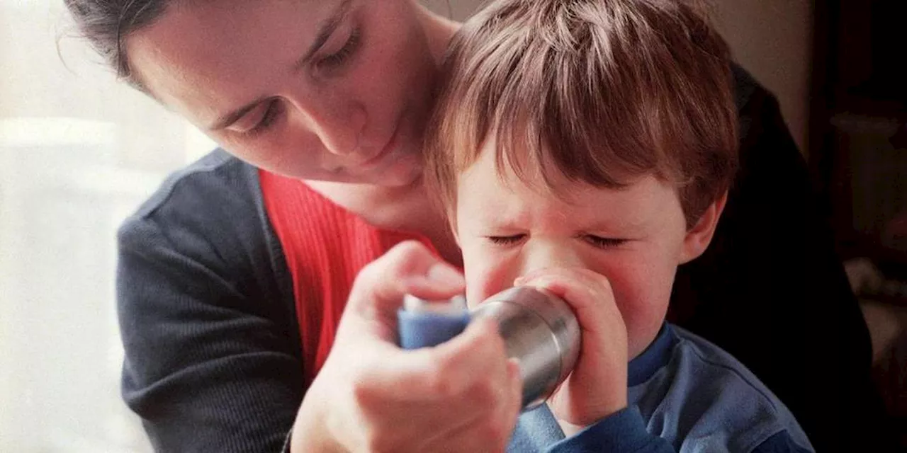 Pénurie de médicaments : les pharmaciens vont-ils manquer de Ventoline, traitement essentiel de l’asthme ?