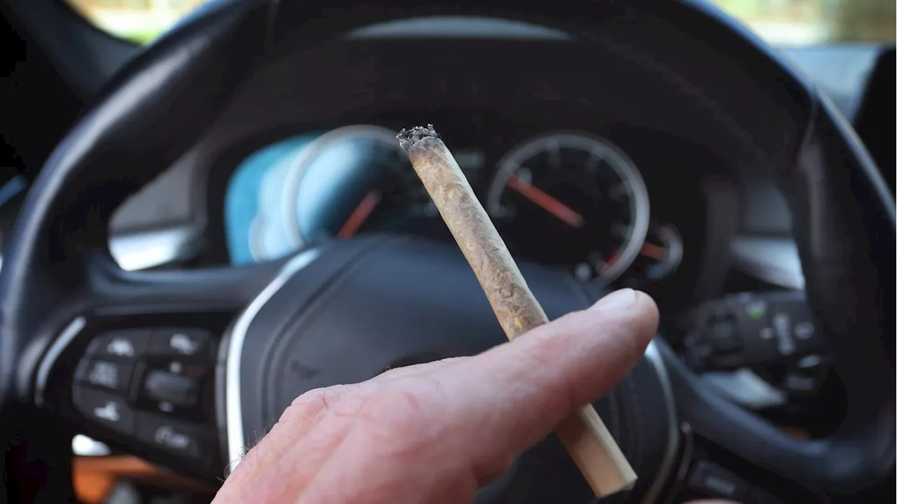 Nachbesserungen beim Cannabis-Gesetz: Bundestag beschließt THC-Grenzwert im Straßenverkehr