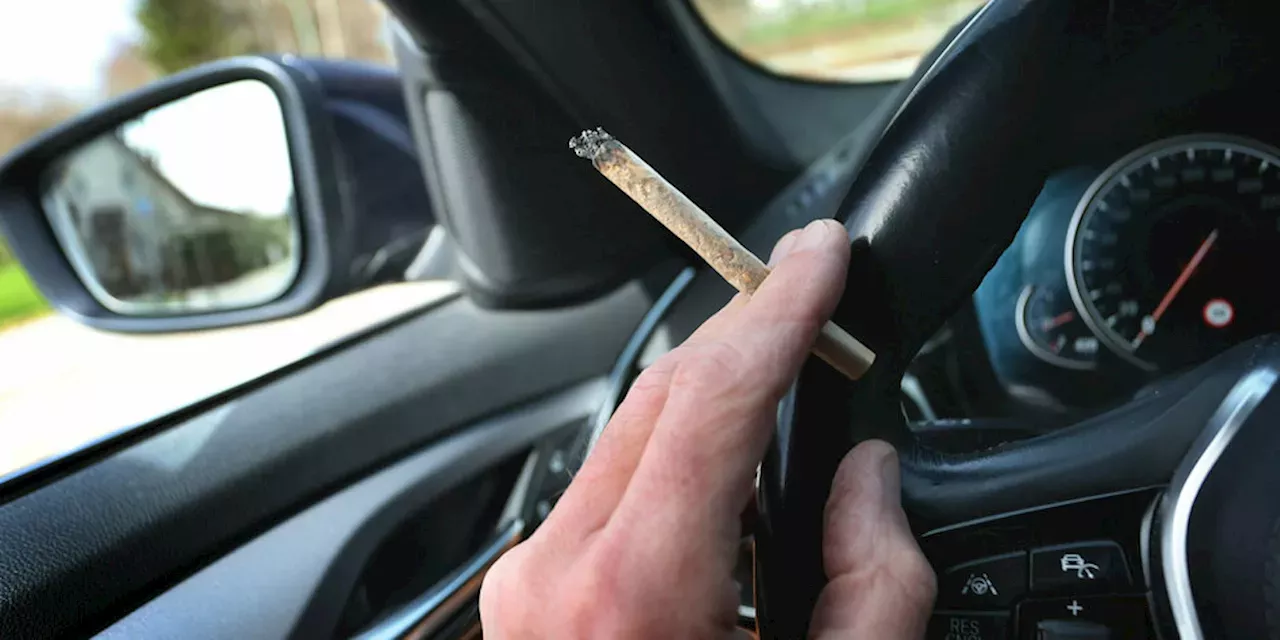 Bundestag: Regeln Für Cannabis Im Straßenverkehr: Ampel Für Höheren THC ...