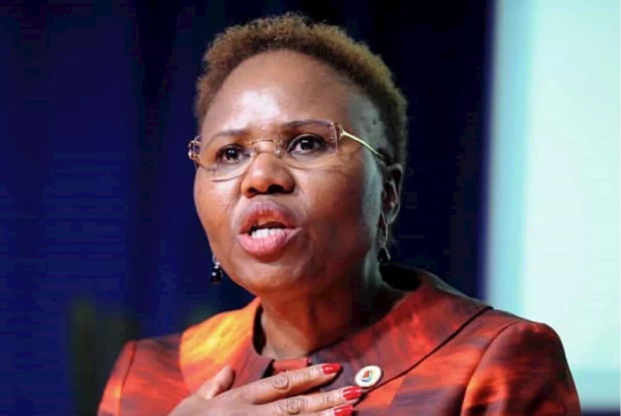 Lindiwe Zulu fires shots at those celebrating her axing from parliament