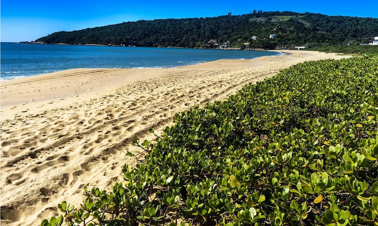 'PEC das Praias' pode beneficiar senadores que têm imóveis em área de marinha