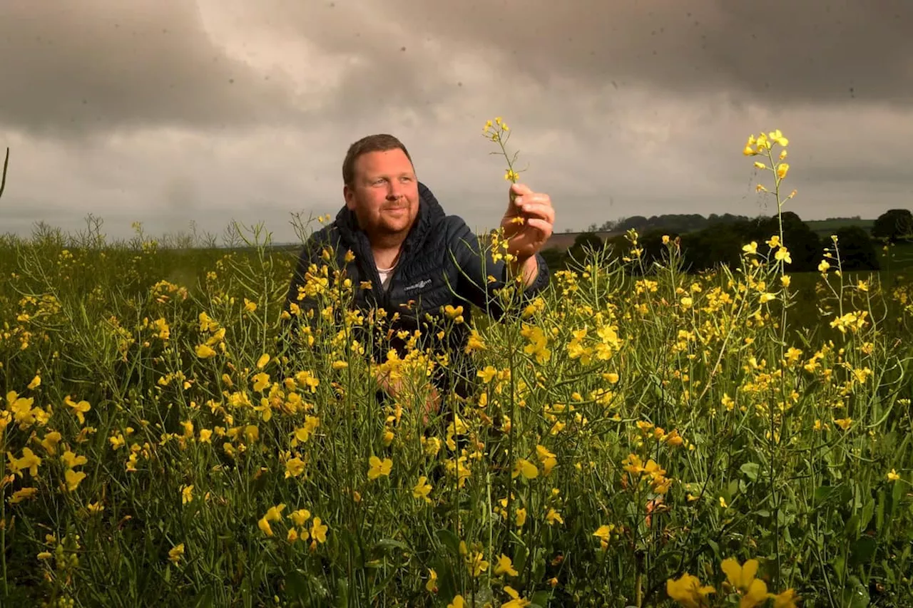 Farm of the Week: Meet the Yorkshire farmer who was thrust into running the business aged just 20