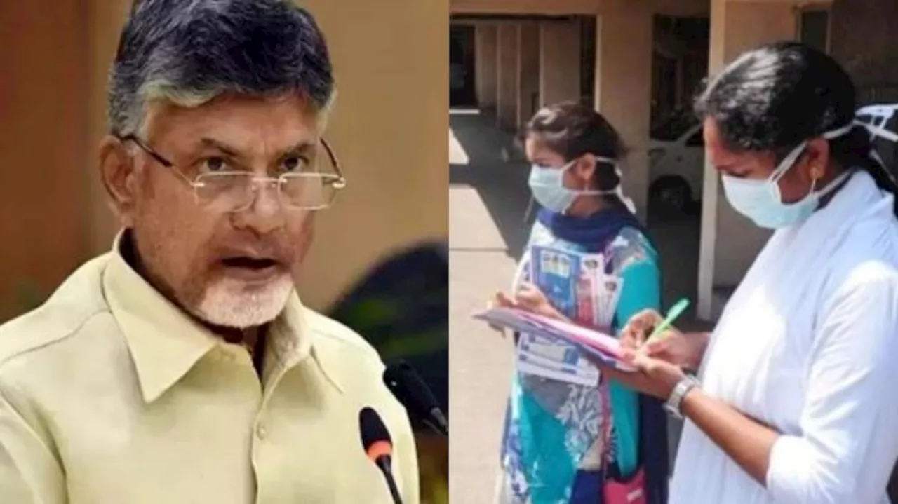 AP Volunteers Job: డేంజర్ జోన్ లో ఏపీ వాలంటీర్ జాబ్ లు..?.. వైసీపీ నేతల వ్యాఖ్యలపై చంద్రబాబు ఆరా...