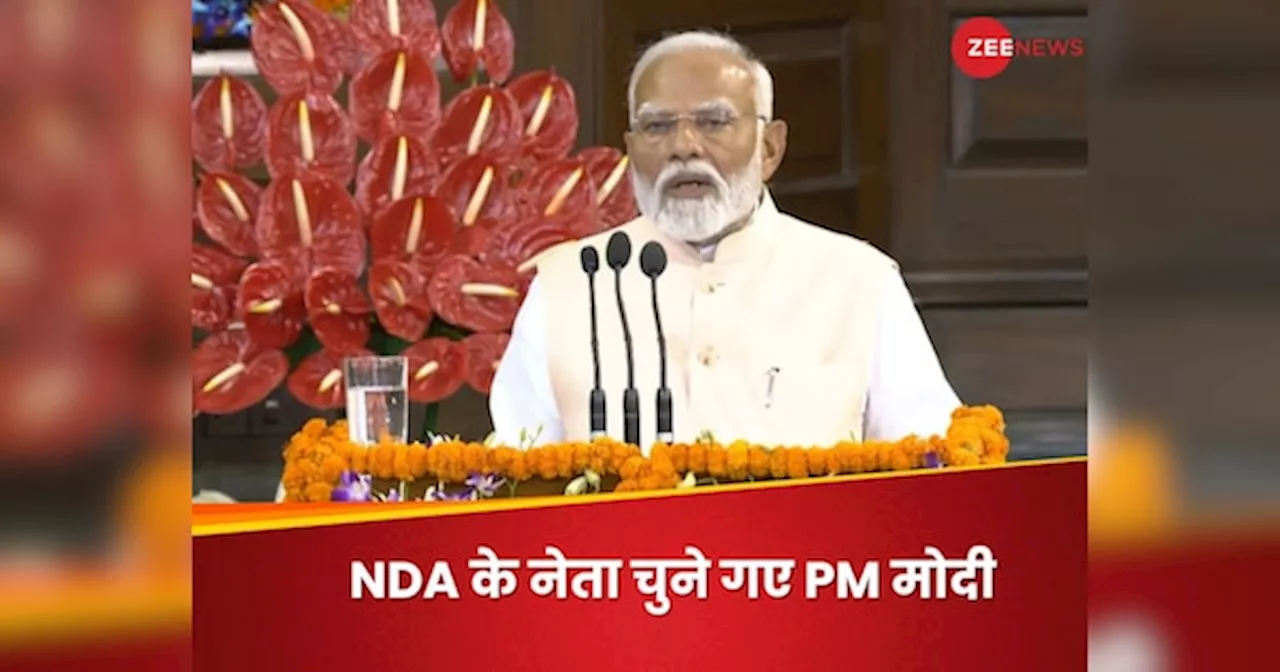 NDA Meeting: सरकार चलाने के लिए सिर्फ बहुमत जरूरी, लेकिन देश चलाने के लिए... NDA की बैठक में क्या-क्या बोले PM मोदी