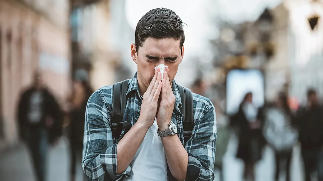 ¿Alergia o covid? Descubren qué diferencia las dos respuestas del sistema inmunitario