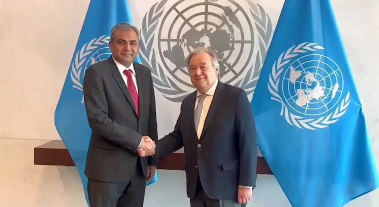 Interior Minister Naqvi, UN chief mull joint efforts to combat terrorism