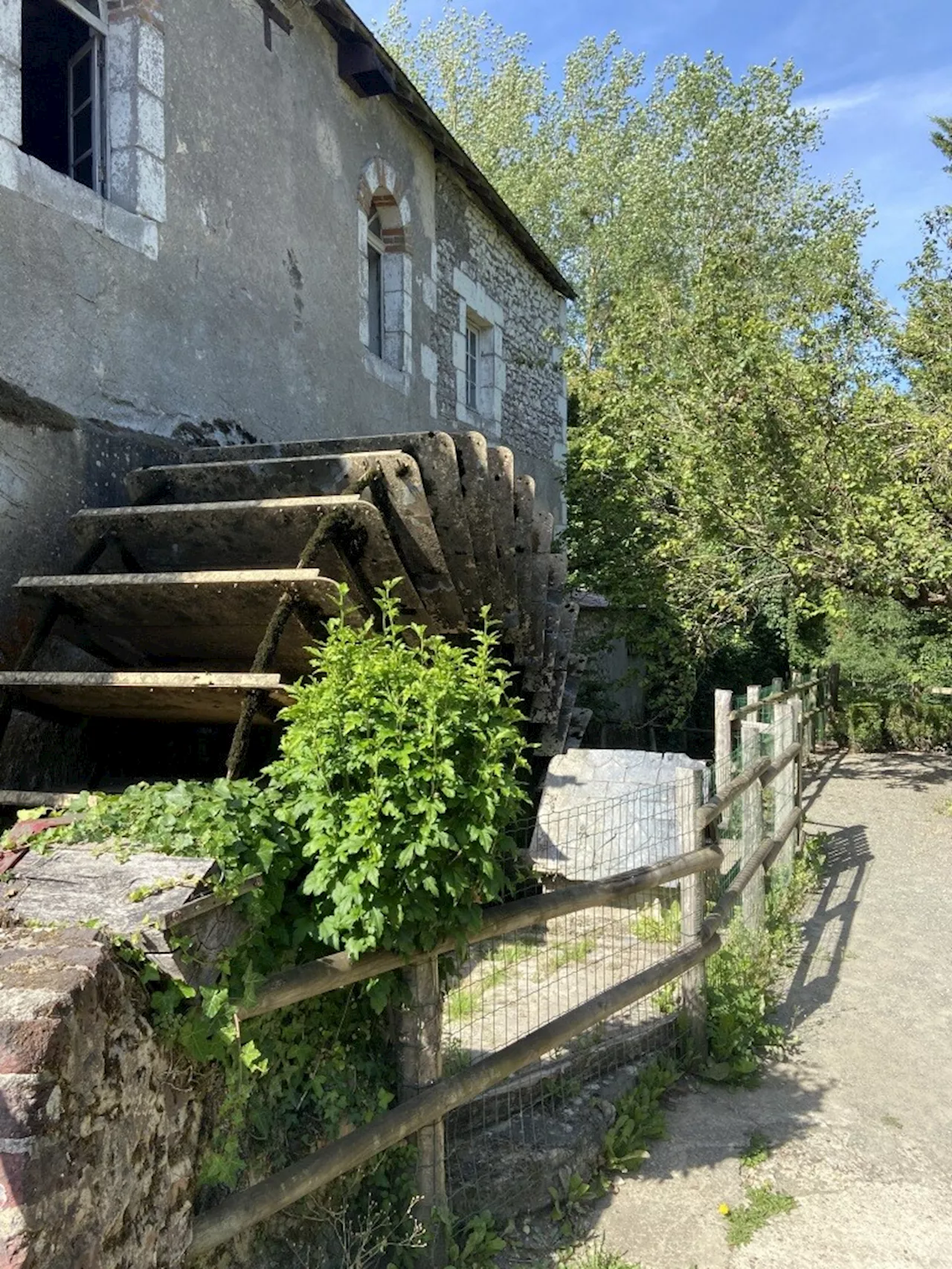 La Fête des Fouées fête ses 15 ans ce dimanche à Vaas | Le Courrier