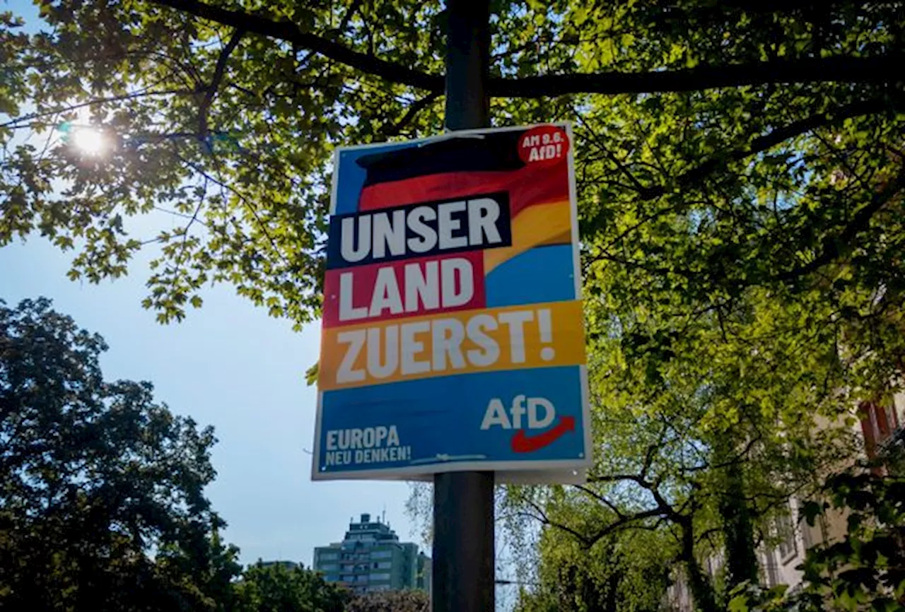 AFD-politiker överfallen i Tyskland