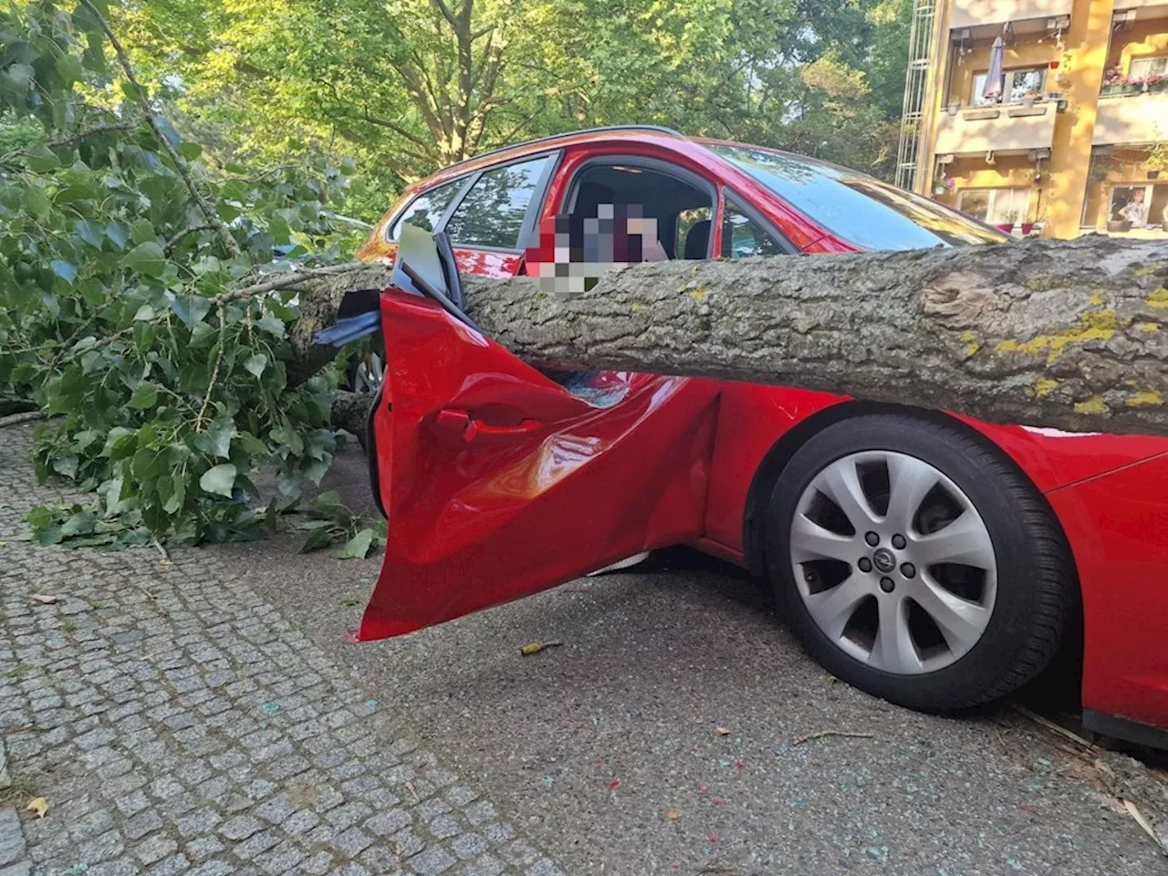 Berlin-Neukölln: Massiver Ast stürzt auf Auto