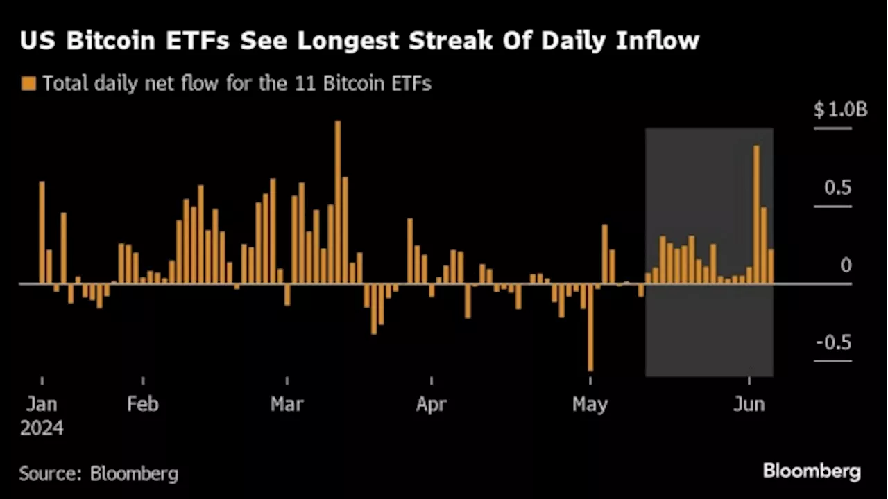 Bitcoin Rally and ‘Short Memories’ Reignite Everything In Crypto