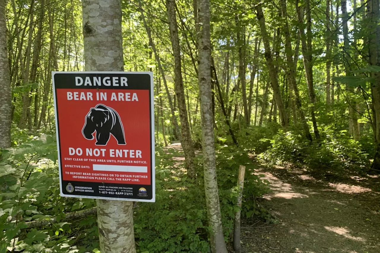 Bear alert issued after two people charged in Squamish Estuary