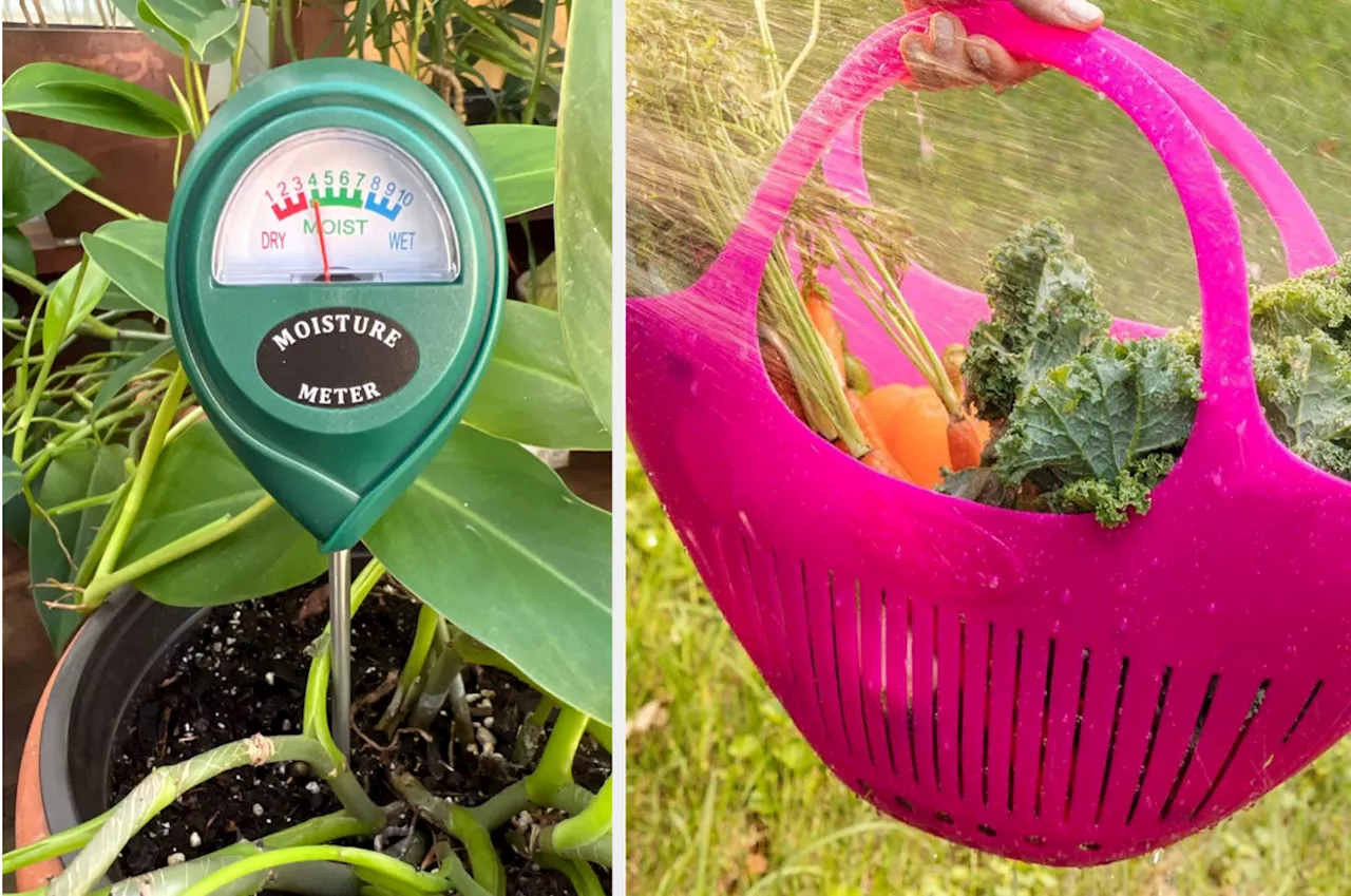 Here Are 32 Gardening Products That'll Really ~Grow~ On You