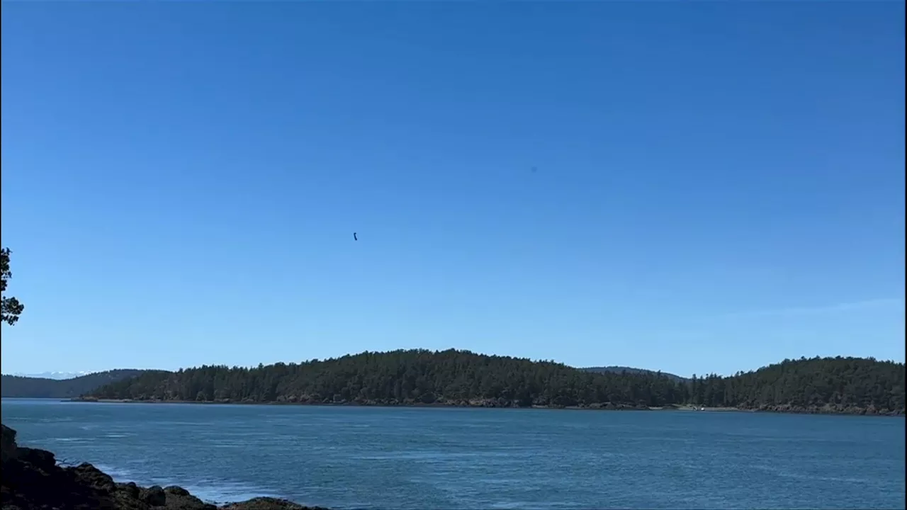 Video shows apparent plane crash between 2 U.S. Islands near Vancouver Island