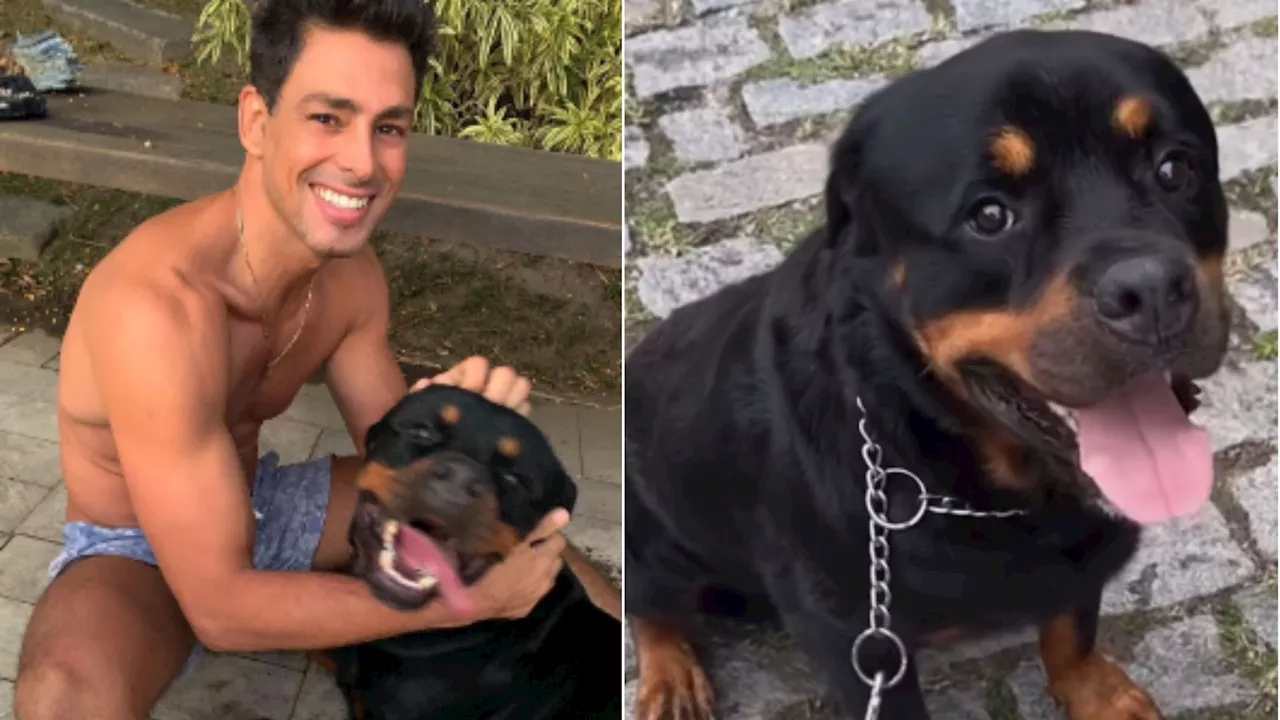 Cauã Reymond lamenta morte de cachorro após anunciar envenenamento: “Dolorido”