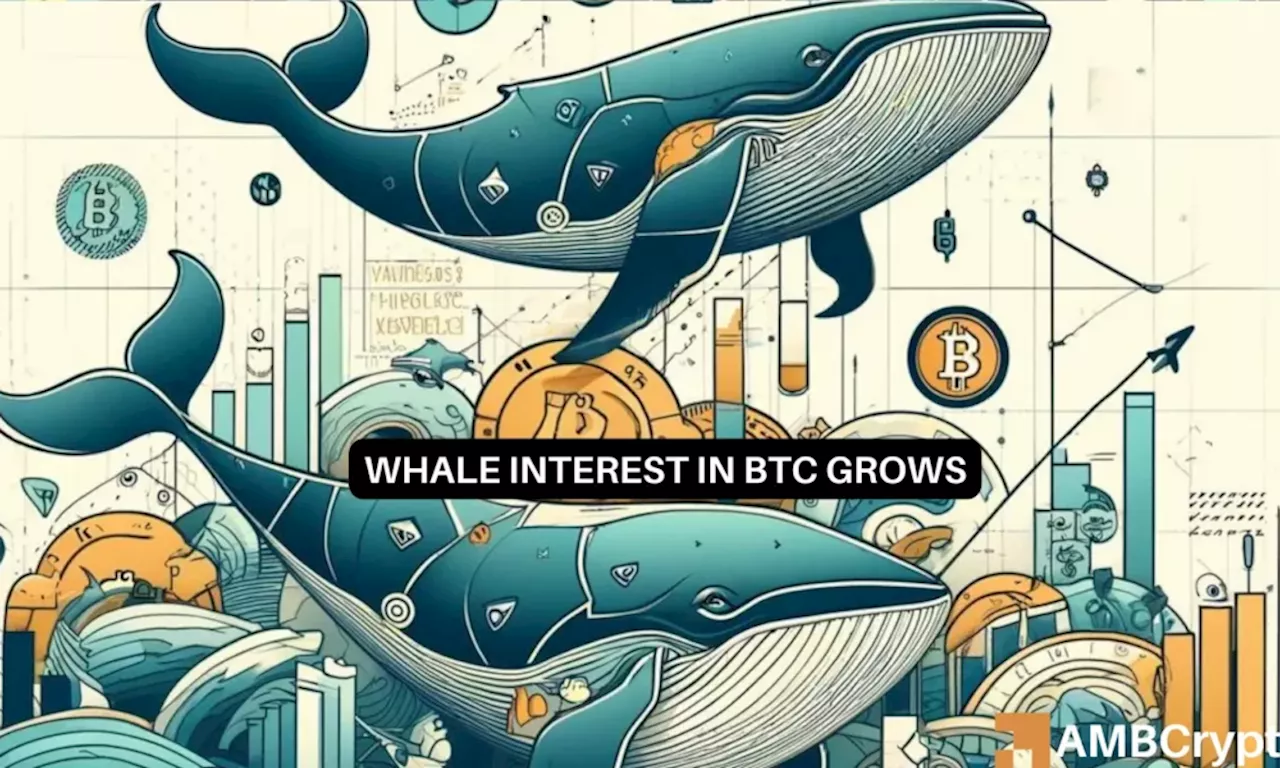 Bitcoin: Record high BTC accumulation by whales, will prices follow?