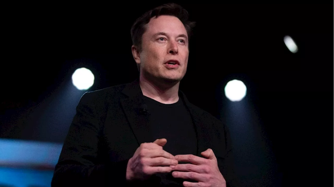 Norwegian wealth fund to vote against Elon Musk's Tesla pay package