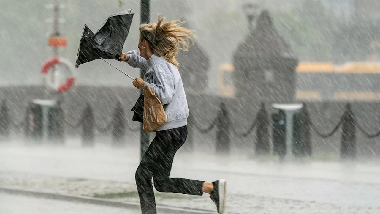 SMHI: Regn och milda temperaturer väntar i hela Sverige