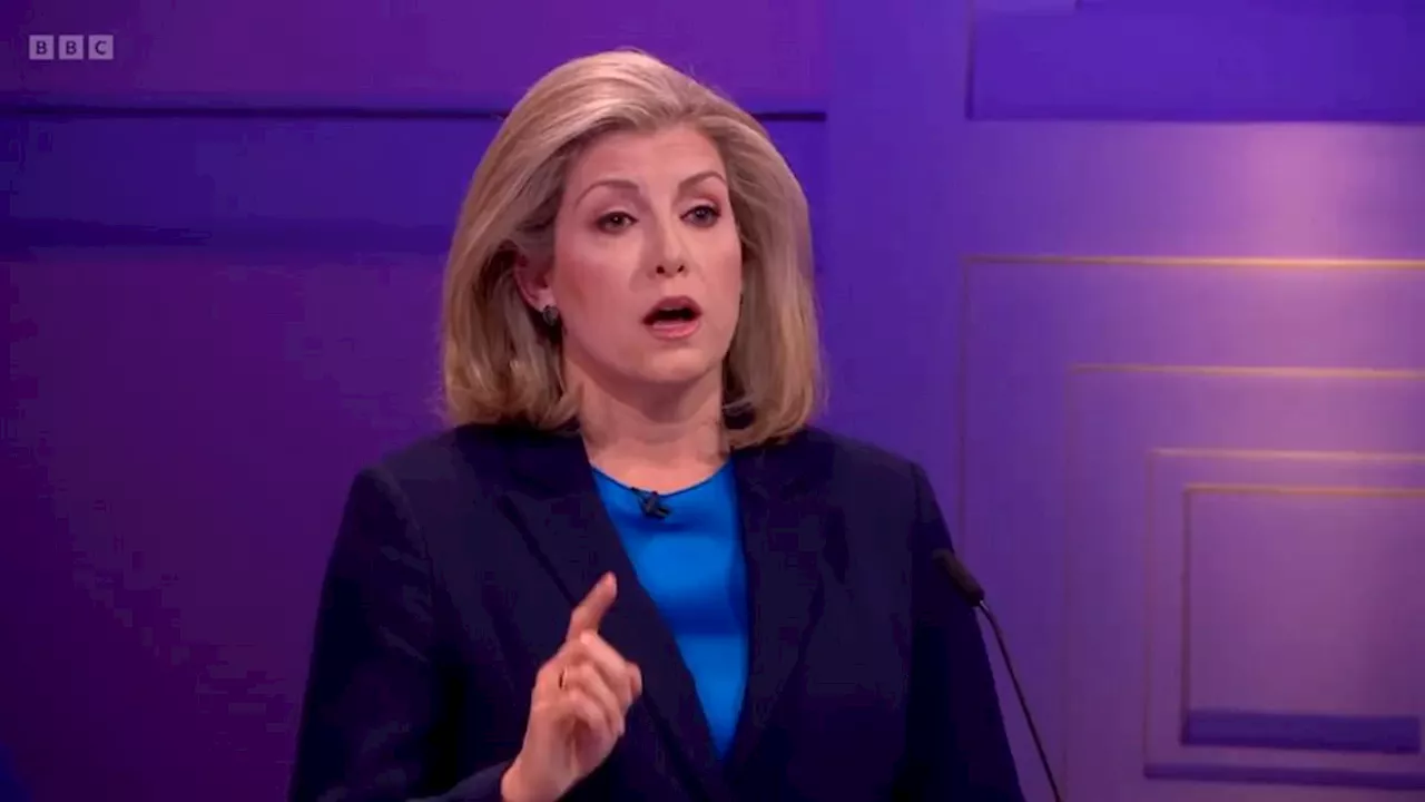 Social media creates memes about Penny Mordaunt's hairstyle in debate